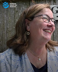 45K views · 2K reactions | Together, we can rescue, rehabilitate, fight and win battles for millions of animals worldwide now and in the future. Support our lifesaving work for all animals! 冀 | Humane World for Animals | Facebook