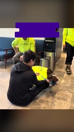 Talk about a TAIL with a happy ending!❤️ N.J. native Steven Maa was devastated when his dog, Rocky, vanished in during a ski day in Colorado. But after 43 days of searching, Summit Lost Pet Rescue found the 10-year-old mutt and reunited him with his owner! “We were just so overjoyed… and just disbelief that he could survive for that long, just extremely proud of him for being able to do that and be so resourceful.” Maa said. #nj #newjersey | NJ.com