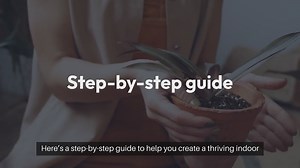 How to Start an Indoor Flower Garden