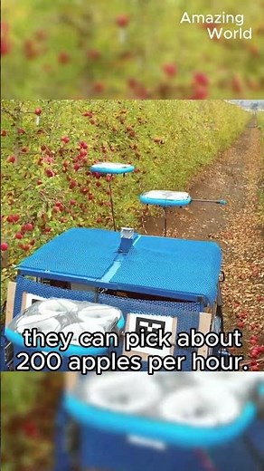 Amazing drones picking apples in Israel's apple orchards. | amazing world