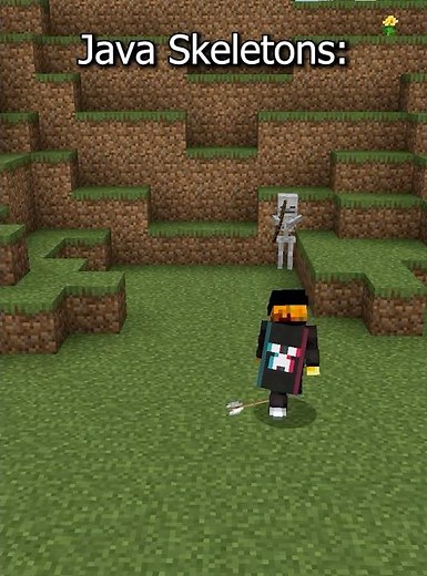 Minecraft Skeletons Bedrock VS Java