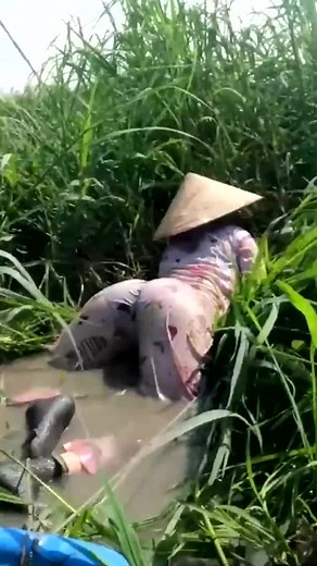 Vietnamese Beautiful Girl Catching Fish