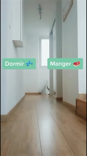 Je l'aime quand même ! 🤭😍 #furet #ferret #itstricky