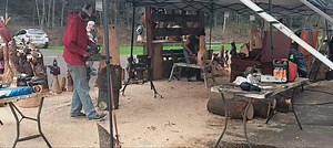 The Chainsaw Carvers Rendezvous at the Ridgway Mills Campground features the work of over 100 talented carvers this year. | Courier Express