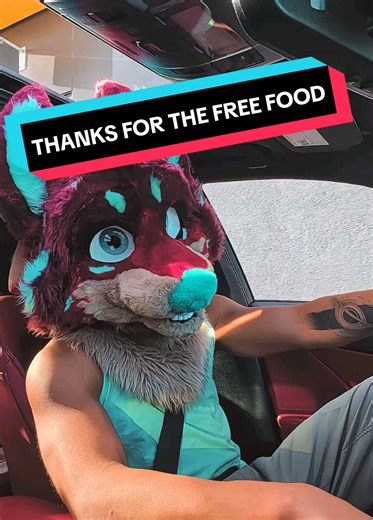 Monetizing Negativity in the Furry Community