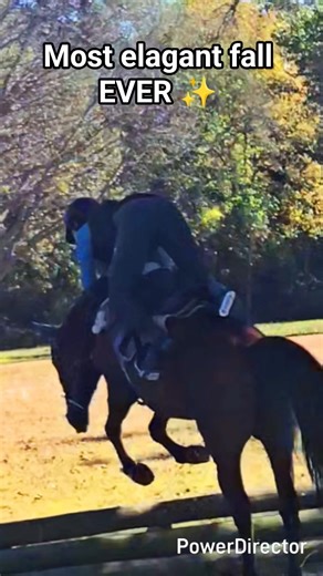 I am fine! got back on and kept jumping:) #horse #equestrian #crosscountry #fall #fail