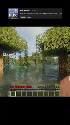 What shader looks the best in the swamp?