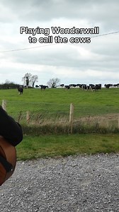 elmobmattock on Reels