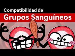 Lo que no sabías de tu tipo sanguíneo 🩸 | Compatibilidad de Grupos Sanguíneos