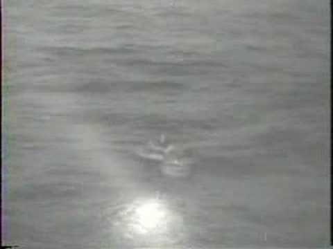 1959: Space monkeys (Universal News)