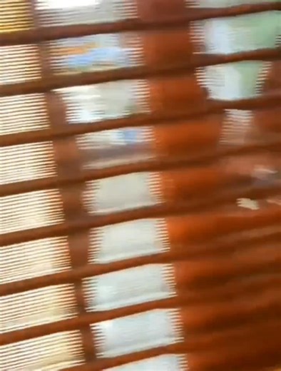 🇬🇧 Immigration raid at chinese restaurant in London. | British Unity