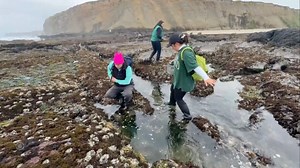 What started as a friendly science contest between San Francisco and Los Angeles a decade ago has grown into a global competition, now involving hundreds of cities around the world. | CBS Evening News