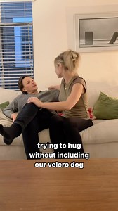 2.3M views · 61K reactions | Attempting a hug without me? Absolutely not  — Bowie is truly hilarious when it comes to people hugging in front of him. He will come running across the room like a bull in a china shop just to be included  even when we’re greeting friends/family, he HAS to be part of the love always  #goldenretriever #velcrodog #puppyhugs #9gag #funnydog #goldenretrievers #retrievers | Bowie The Golden Retriever | Facebook