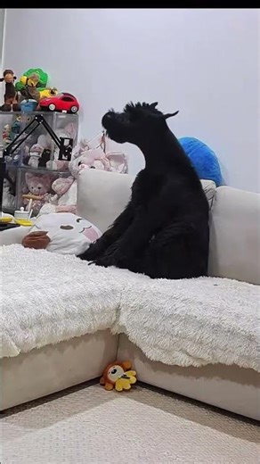 Howl Like Wolves: Join the狼族吠叫挑战