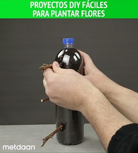 6.5K views · 52 reactions | Proyectos DIY fáciles para plantar flores | AmoMama News | Facebook