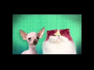 The Splat - #HappyHappyJoyJoy Week Promo (480p SD)