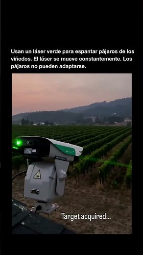 Láser Verde Que Espanta Pájaros 🦅