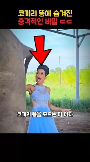 15 million won elephant dung?! 💩 The reason this woman picks up poop with her bare hands...