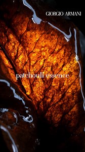 A lasting impression. Revealing a profusion of an intense, violet accord, ACQUA DI GIÒ ELIXIR is emblematic of nature’s spontaneity intertwined with the sensuality of a leather accord and an uplifting marine note.​ #Armanibeauty #AcquaDiGio #WhatMakesYouFeel #Fragrance | Sundora Beauty