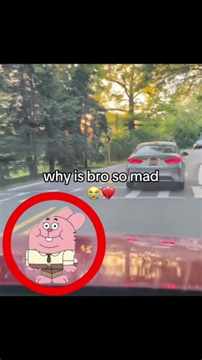 Why Is Bro So Mad? | Gumball Richard Watterson Explained