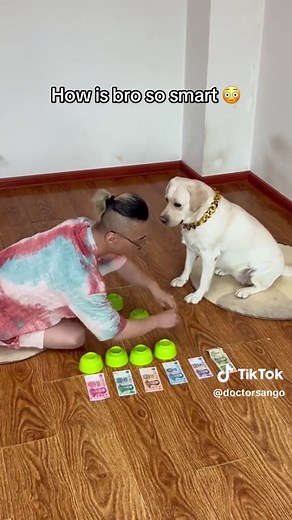 sango (@doctorsango)’s videos with original sound - sango