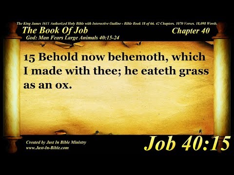 Job Chapter 40 - Bible Book 18 - Holy Bible Audio Text - King James Read Along Bible