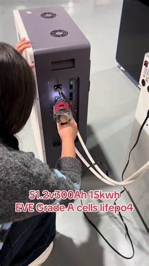 The 51.2V 300Ah 15kWh solar-powered home energy storage lithium battery features flexible wheels and a touch-screen display. It can also be connected to a Wi-Fi network to check the battery level. Made with A-grade EVE cells, it can withstand up to 8,000 charge-discharge cycles and has a lifespan of over ten years. This battery will help you avoid paying expensive electricity bills for the next ten years.