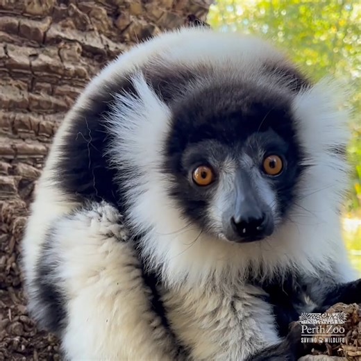 12K views · 287 reactions | There’s no grey area when it comes to...