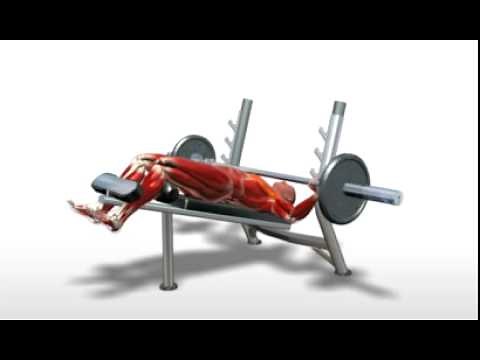 Exercise Videos- Barbell Decline Bench Press