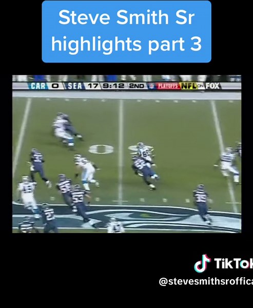 Steve Smith Sr. Brilliance: Touchdowns and Highlights