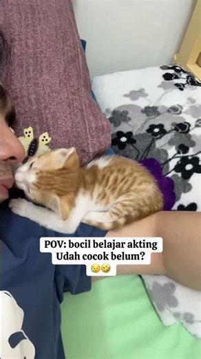 Sukanya tidur di bahuku 😥