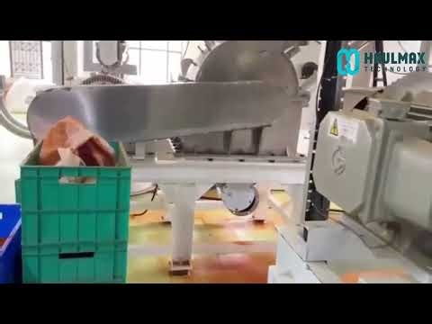 Spice Processing Plant – Chilli | Complete Turnkey Solution