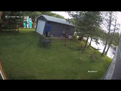 Gease invasion - BoatHouse