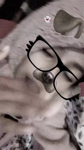 rachu🌸 (@rachu13846)’s videos with original sound - rachu🌸