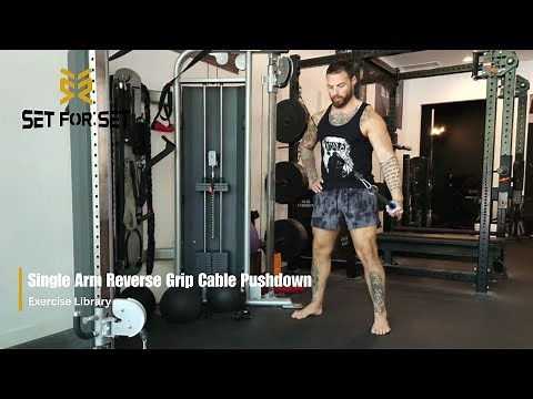 Single Arm Reverse Grip Cable Triceps Pushdown | SFS Exercise Library