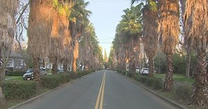 This Sacramento street is being considered as a new historic district