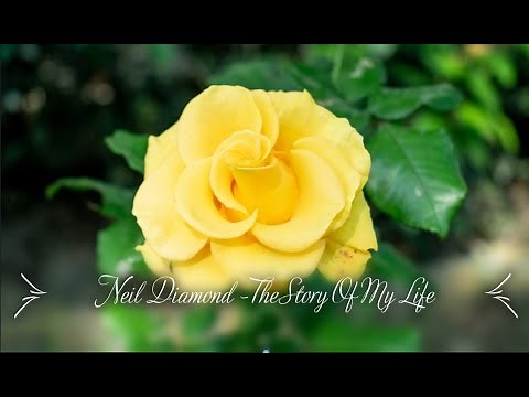 Neil Diamond - The Story Of My Life (lyrics)