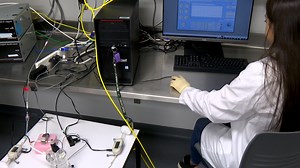 Method to Obtain Pattern of Breathing in Senescent Mice through Unrestrained Barometric Plethysmography