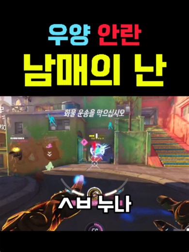 우양의 사춘기: 오버워치2 플레이 하이라이트