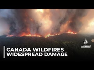 Wildfires in Canada: Saskatchewan and Manitoba declare state of emergency