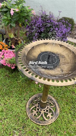 Create a Garden Oasis with a Solar Bird Bath Fountain
