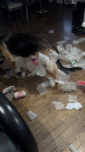 Moving On From TypeScript: A Personal Journey