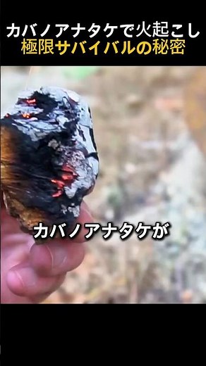 Extreme survival secret! Starting a fire with chaga mushrooms