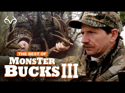 1995 Deer Hunts | Best of Monster Bucks 3 | Classic Whitetail Deer Hunts With Dale Earnhardt