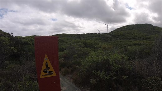 We just received this fabulous video that one of our AWesome Guide's Claire has put together. It showcases this week's group out enjoying our Albany to Denmark hike on Bibbulmun Track, headed up by herself and the lovely Jazzy .... love your work girls 🥰🧡 | Adventurous Women