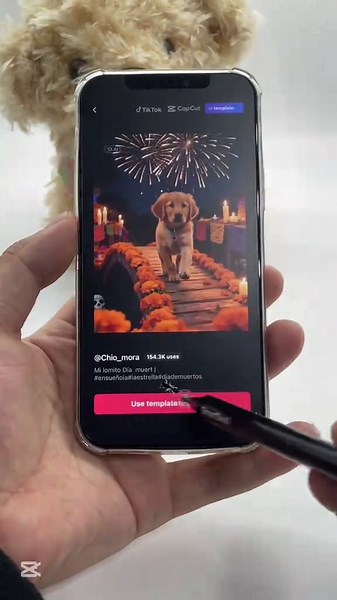 Cómo hacer un video homenaje al Puente Arcoíris