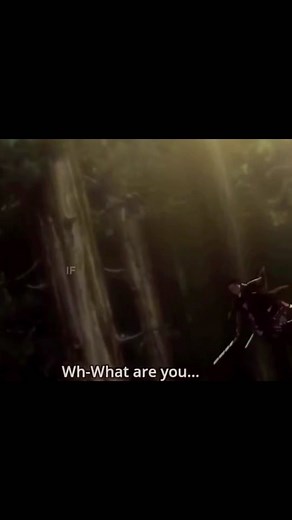 Levi and Mikasa Little Interactions Compilation