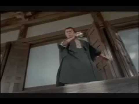 「忍風戦隊ハリケンジャー」シュリケンジャーゲスト集