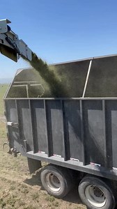 Claas 990 chopping hay #agriculture #harvest #silageseason #farmer #claas #agri #farmmachinery #farmequipment #farming | Nikabelly
