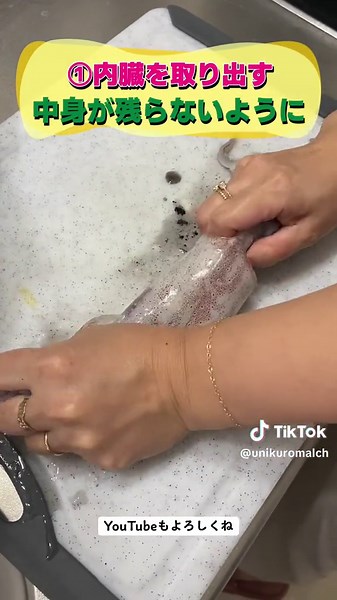 イカの捌き方のテクニックとレシピ